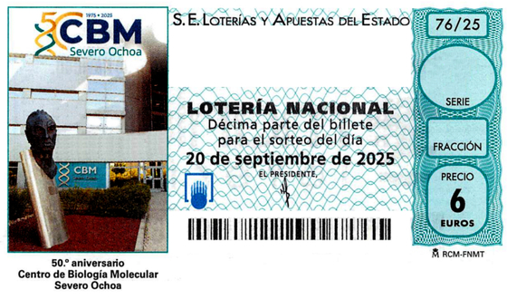 imagen decimo lotería