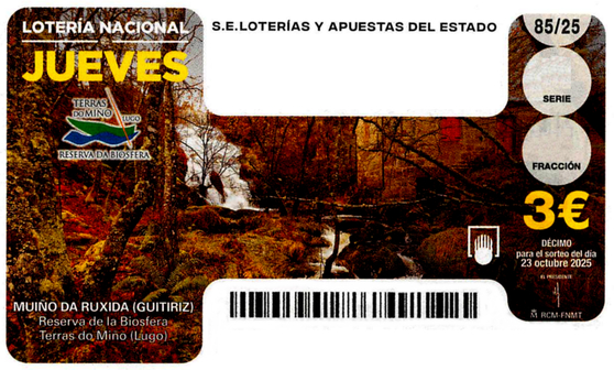 imagen decimo lotería